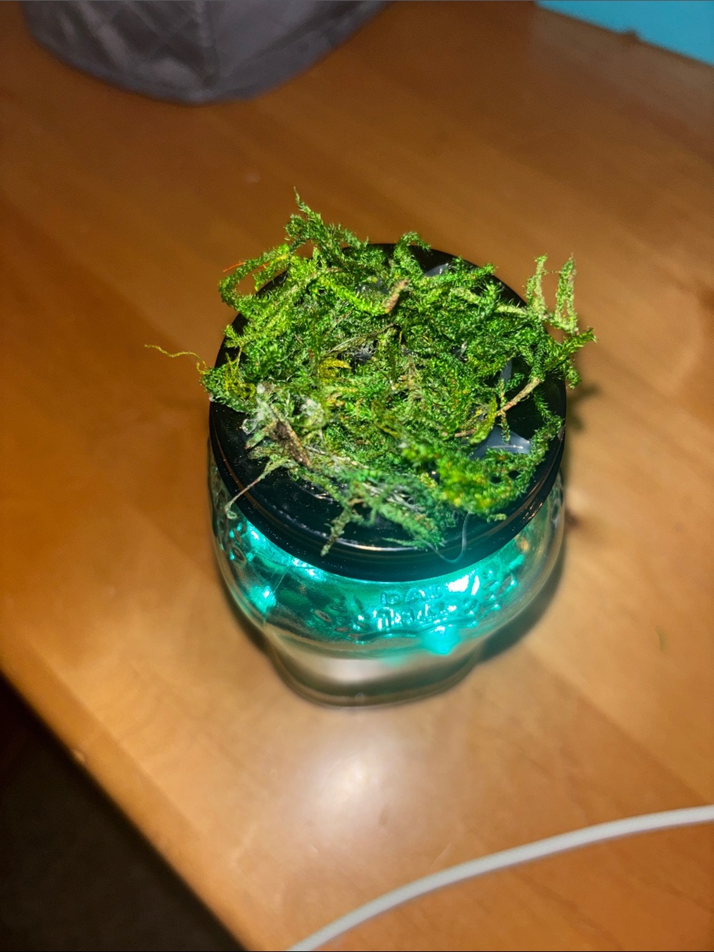 Creature from the Black Lagoon Light-Up Jar- Handcrafted by me - Picture 4 of 4